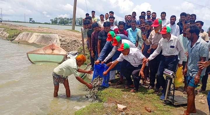 মীরসরাইয়ে আ.লীগ দখলমুক্ত দীঘিতে মুক্তিযোদ্ধাদের মাছের পোনা অবমুক্ত করে অভিনব প্রতিবাদ