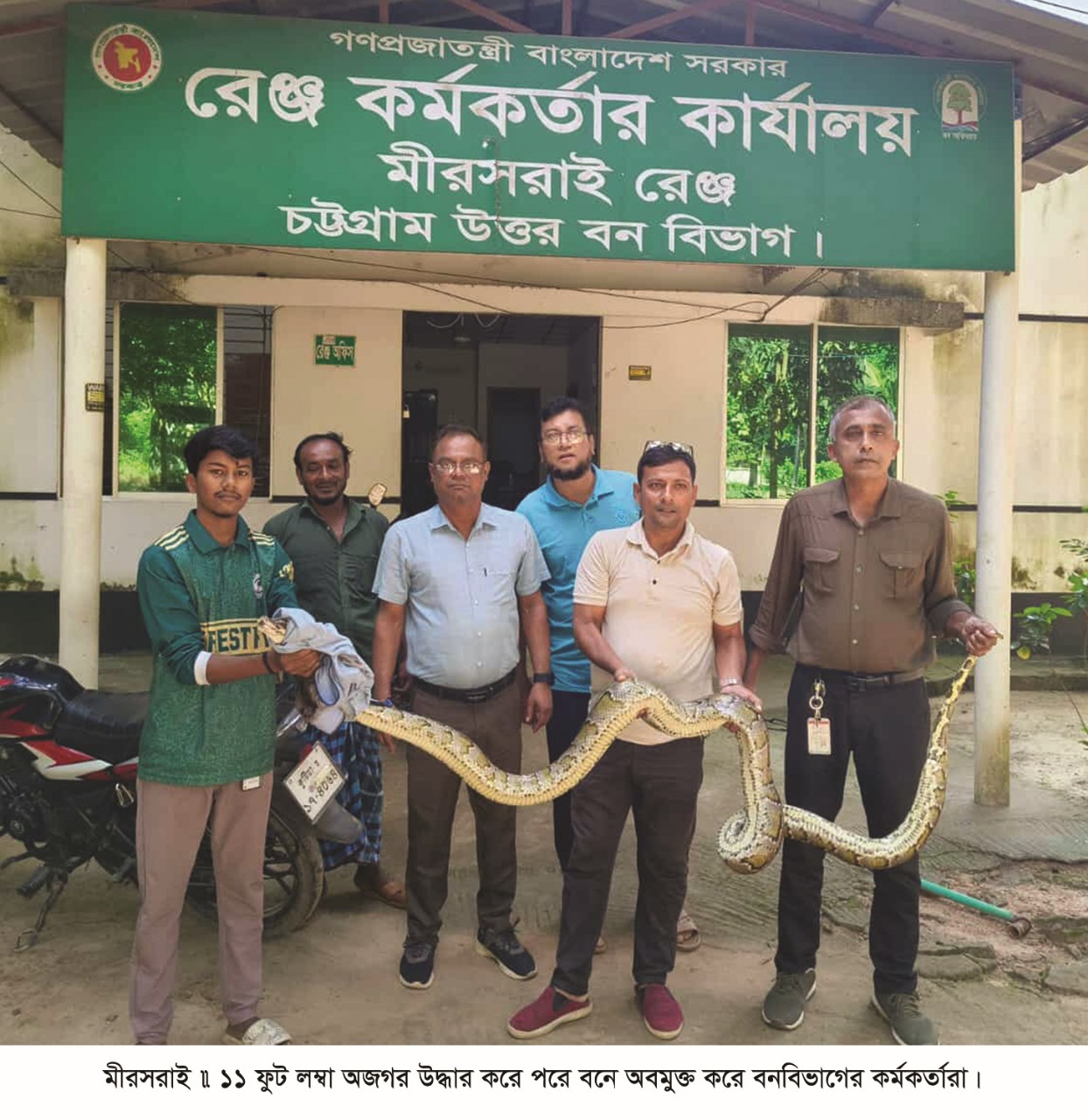 ১১ ফুট লম্বা অজগর উদ্ধার